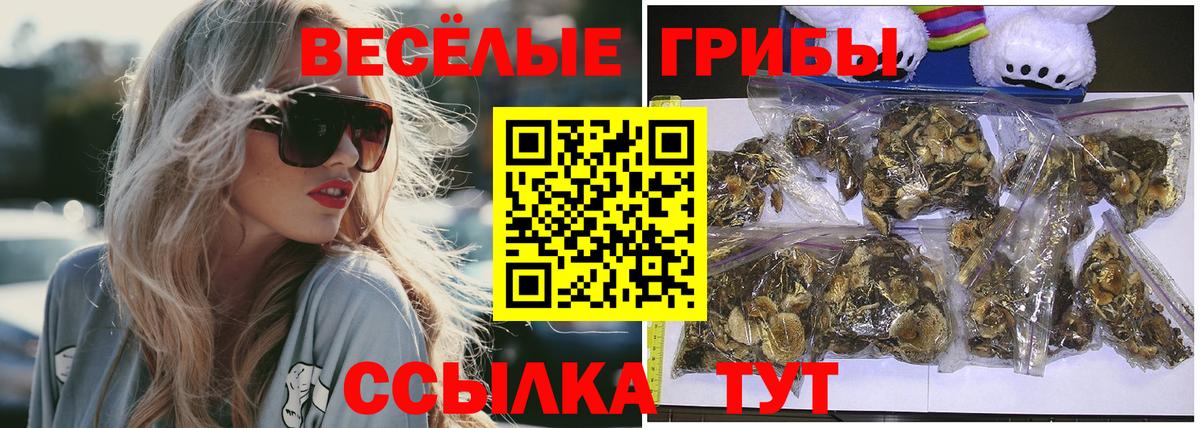 Когалым  Галлюциногенные грибы Cubensis  Вход с VPN 